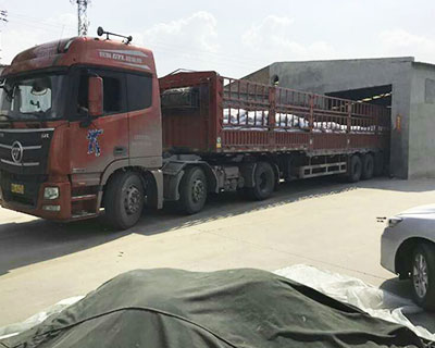 ؛���b܇(ch��)�ꮅ��(zh��n)��l(f��)؛